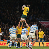 Rugby World Cup icon