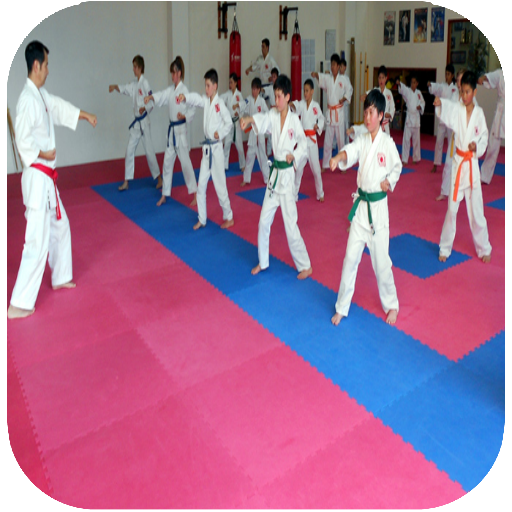 Karate techniques icon