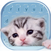 Cute Kitty Katze Tastatur icon