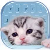 Cute Kitty Katze Tastatur on 9Apps