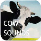 Cows Sounds icon
