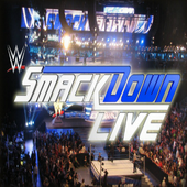 WWE SmackDown : SmackDown Fight Videos icon