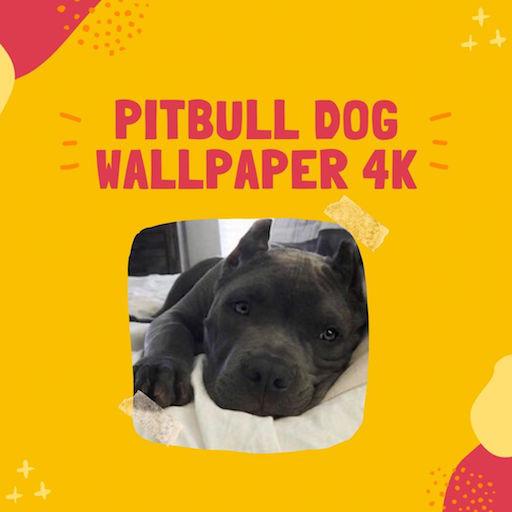 Pitbull Dog Wallpaper 4K icon