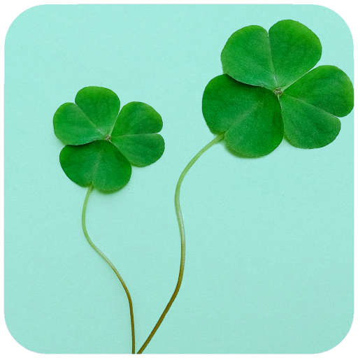 Leaf  Wallpaper HD icon