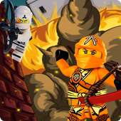 Last Fight of Ninja Go