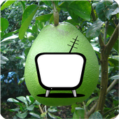 Xem Tivi Không Cần Mạng - Miễn Phí Trực Tiếp Bóng icon
