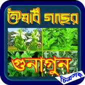 ঔষধি গাছের গুনাগুন (চিত্রসহ) on 9Apps