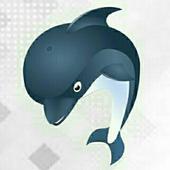 Dolphin Incognito Browser icon