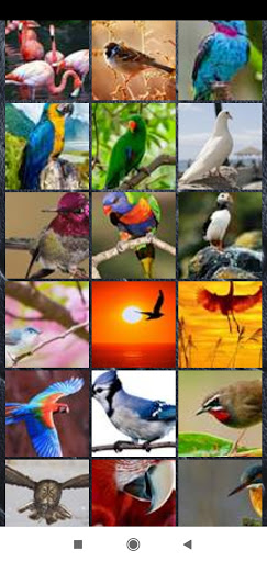 Bird Wallpaper Full HD screenshot 4