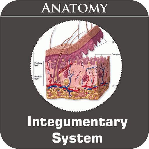 Integumentary System icon