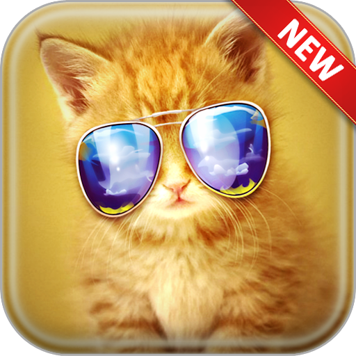 Cat Wallpapers icon