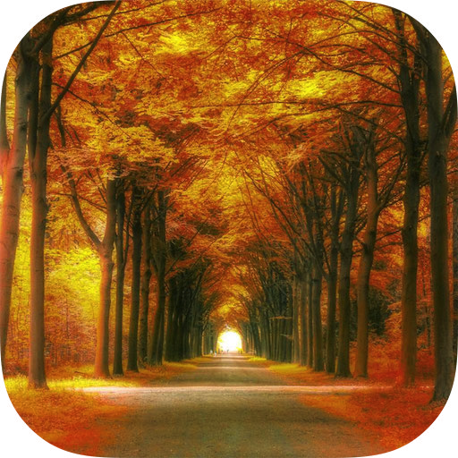 Forest HD Backgrounds أيقونة
