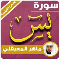 surah yasin maher al muaiqly offline on 9Apps