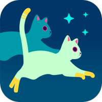 Thirteen and Half Cats