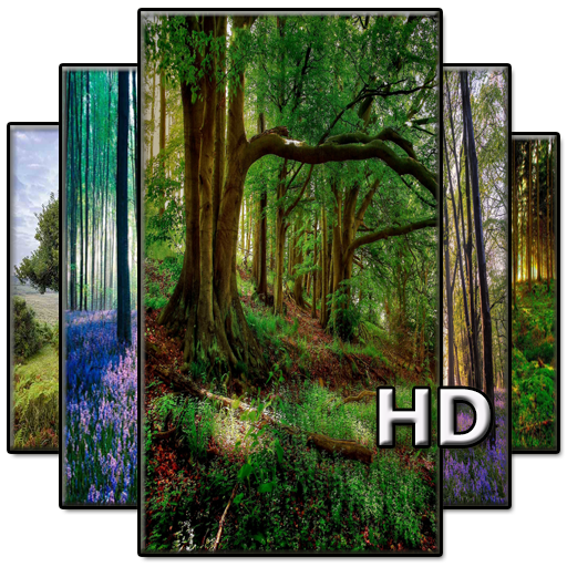 Forest Wallpaper HD icon