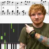 Shape Of You Piano Tiles 🎹