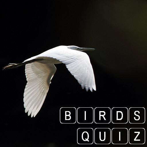 Amazing Animals : Bird Quiz icon