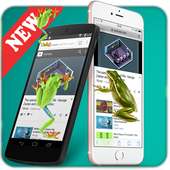 Frog On Screen Funny Joke