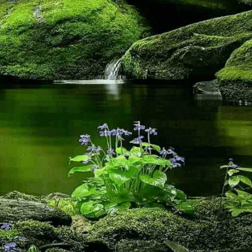 Green Nature Live Wallpaper icon