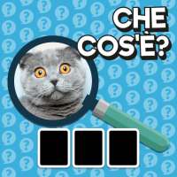 Che cosa è? Quiz su Immagini & Marchi