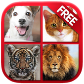 Animal &amp; Birds Sound for kids icon