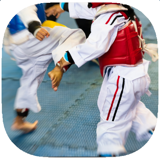 Taekwondo Moves &amp; Techniques G icon