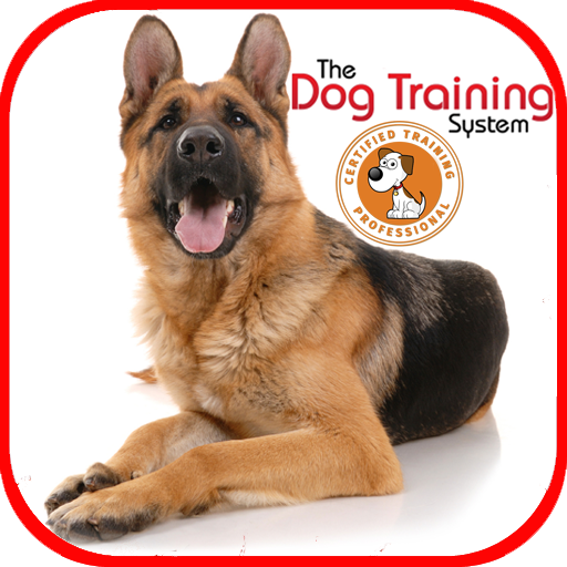 Dog Training icon