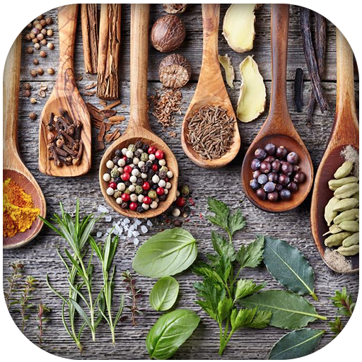 Spices For Health icon