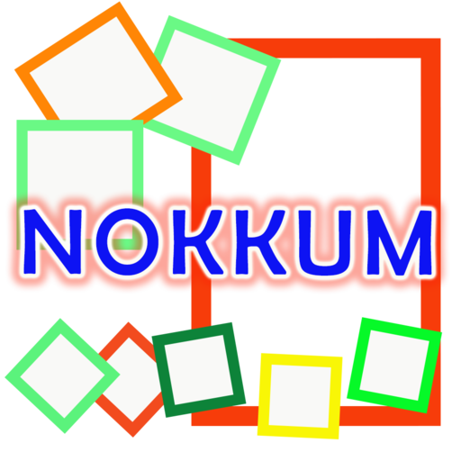 NOKKUM VPN icon
