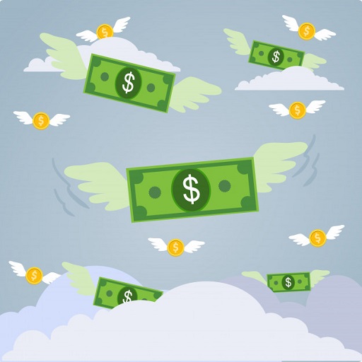 Money Bird icon