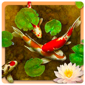 Koi Fish Live Wallpaper 4K icon