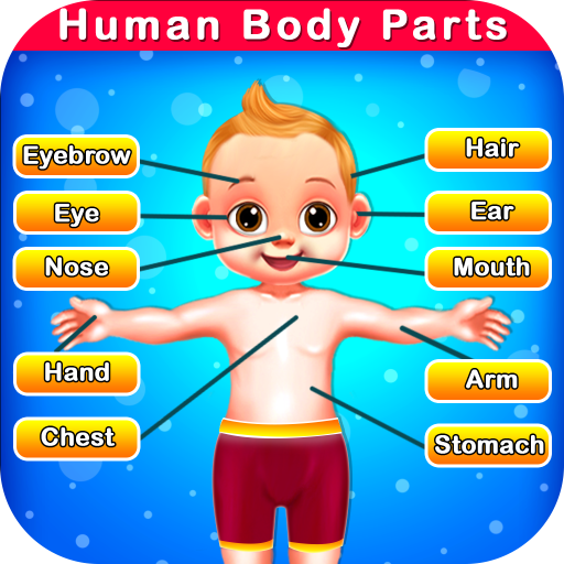 Human Body Parts - Preschool Kids Learning Games icon