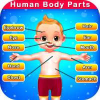 Human Body Parts - Preschool Kids Learning Games on 9Apps