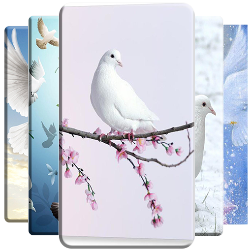 Dove Wallpaper icon