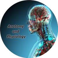 Anatomy and Physiology App on 9Apps