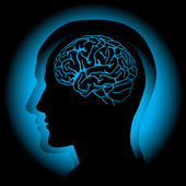 Brain Shaker Memory icon