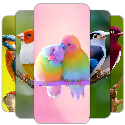 Bird Wallpaper HD icon