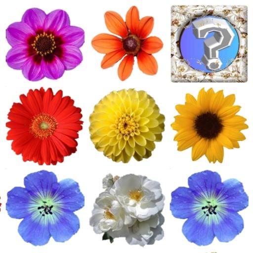 Memory Games Picture Matching Games Pairs icon