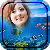 Fish Photo Frames on 9Apps