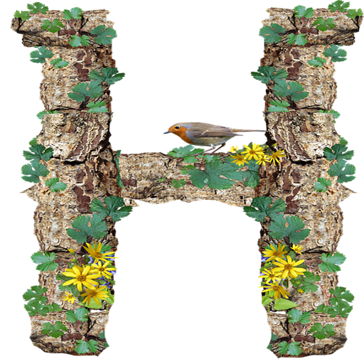 New H wallpapers photos icon