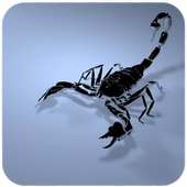 Scorpion HD Wallpaper on 9Apps