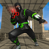 Ninja Assassin Fidget Spinner Shadow ninja Fighter icon