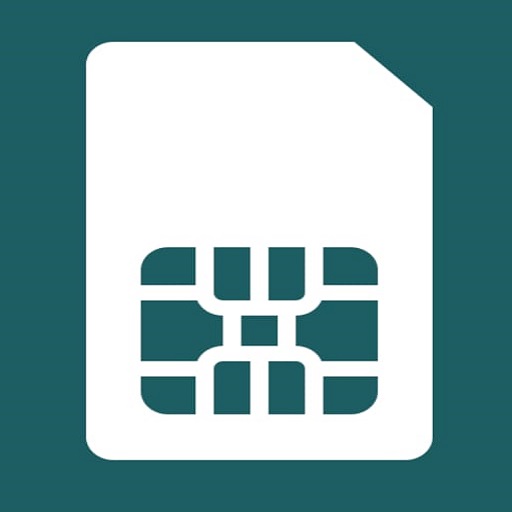 Sim Owner Detail 2022 icon