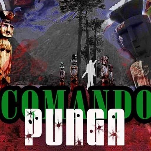 Comando Punga Final icon