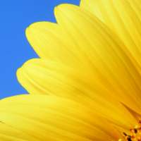 Dia a Dia Espiritual