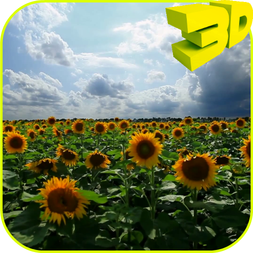 Sunflowers 3D Live Wallpaper icon