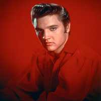 Elvis Presley Best Music(Offline) & Ringstones