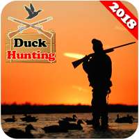 Duck Shooting And Hunting 3D