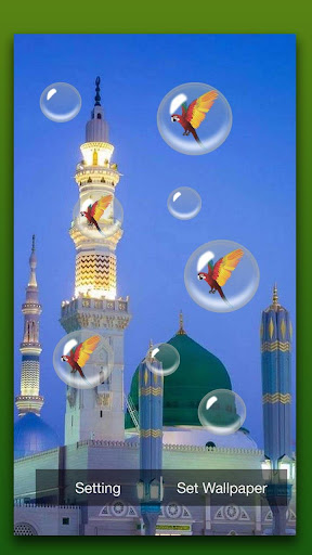 Madina Live Wallpaper screenshot 4