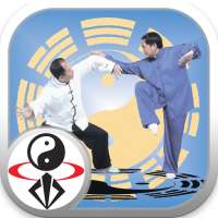 Bagua Zhang on 9Apps